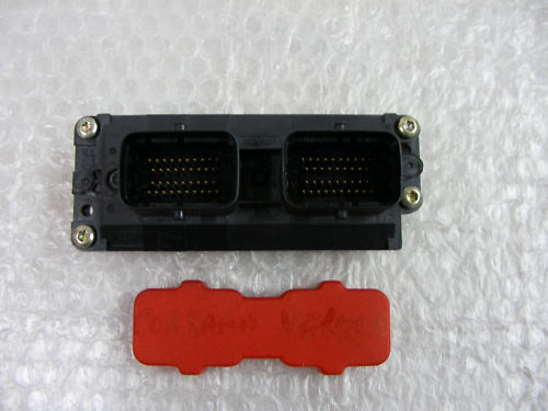 corsaro ecu.jpg