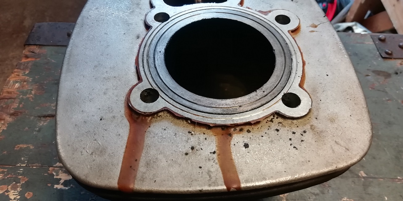 IMG_20230930_150347 mm.jpg