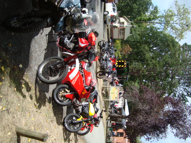 Erwood 30-8-25 wee (11).JPG