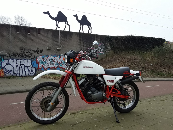 Camelr28.jpg