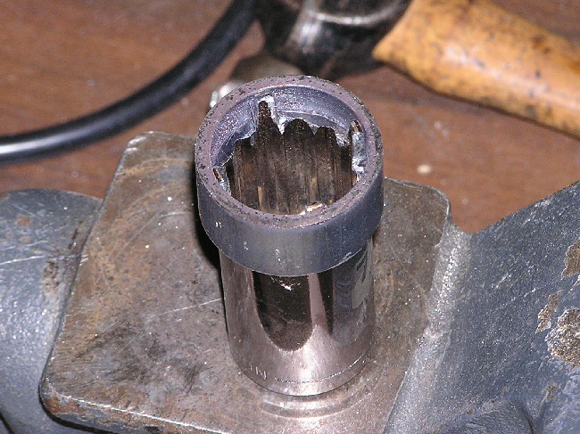 P1010006a.jpg